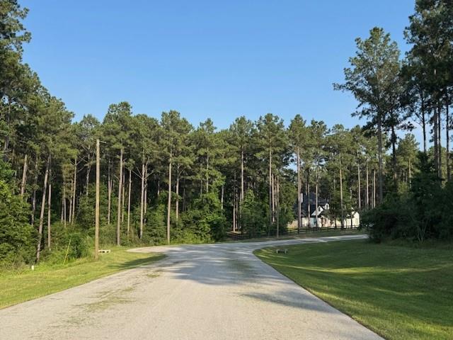 TBD Rising Sun Court, New Waverly, Texas image 1