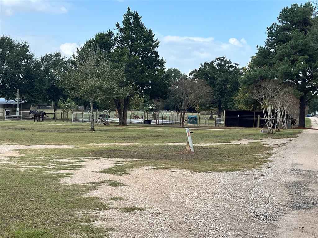 31807 Washington Street, Waller, Texas image 11