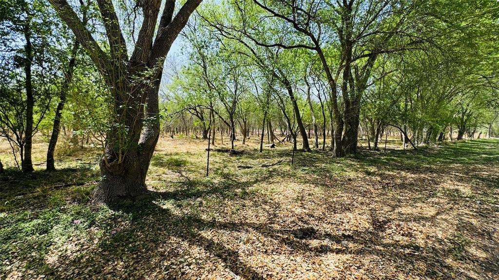 Lot 25 10th Street, Premont, Texas image 3