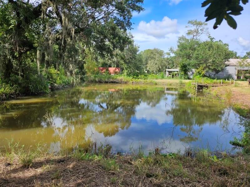 4326 County Road 945c, Brazoria, Texas image 1