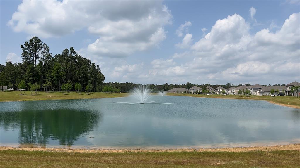 17015 Wild Stream Court, Conroe, Texas image 14