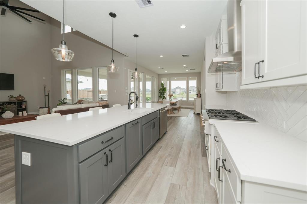 413 Stratus View Court, Katy, Texas image 12