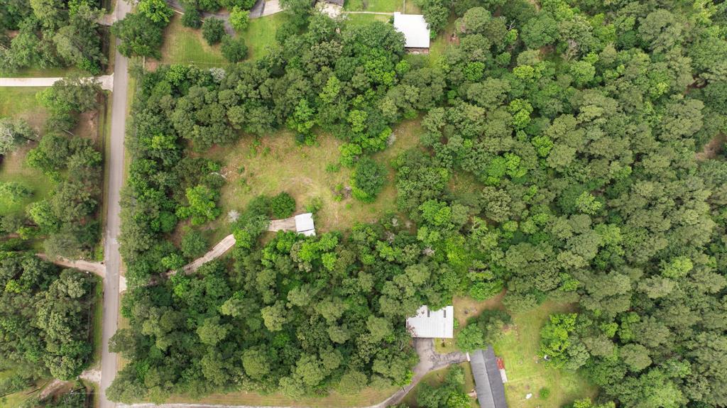 9302 Woodlane Boulevard, Magnolia, Texas image 10