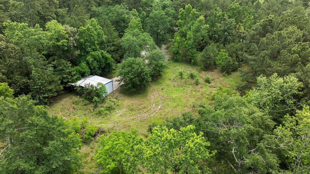 9302 Woodlane Boulevard, Magnolia, Texas image 12