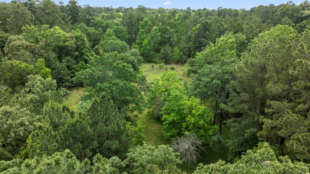 9302 Woodlane Boulevard, Magnolia, Texas image 11