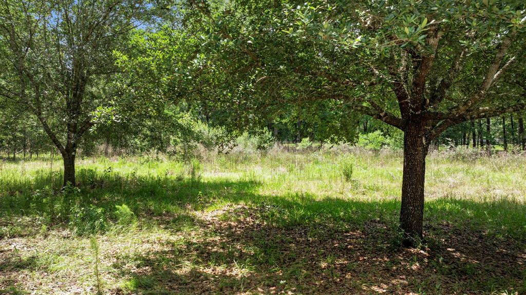 9302 Woodlane Boulevard, Magnolia, Texas image 17