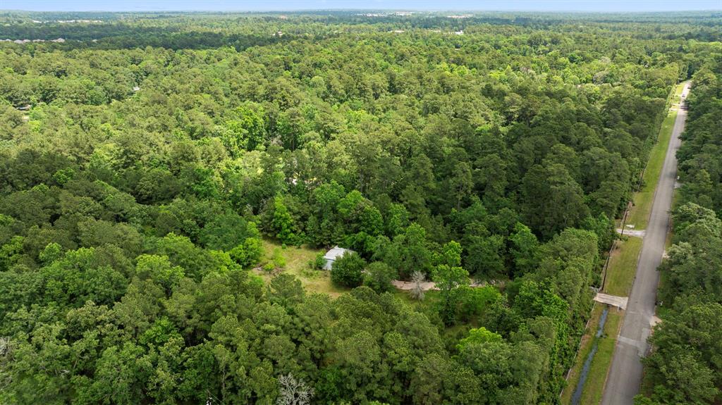 9302 Woodlane Boulevard, Magnolia, Texas image 13
