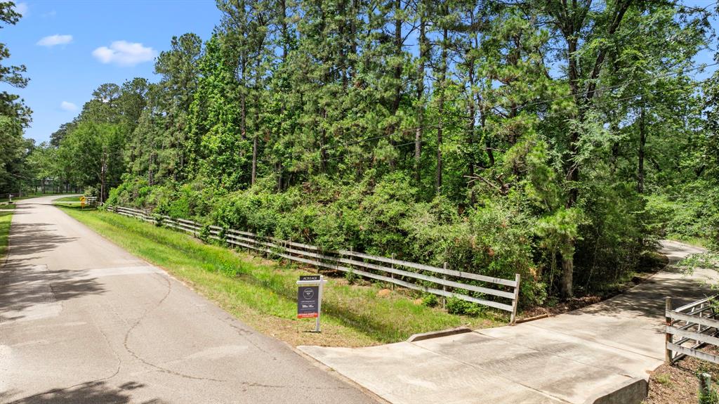 9302 Woodlane Boulevard, Magnolia, Texas image 1