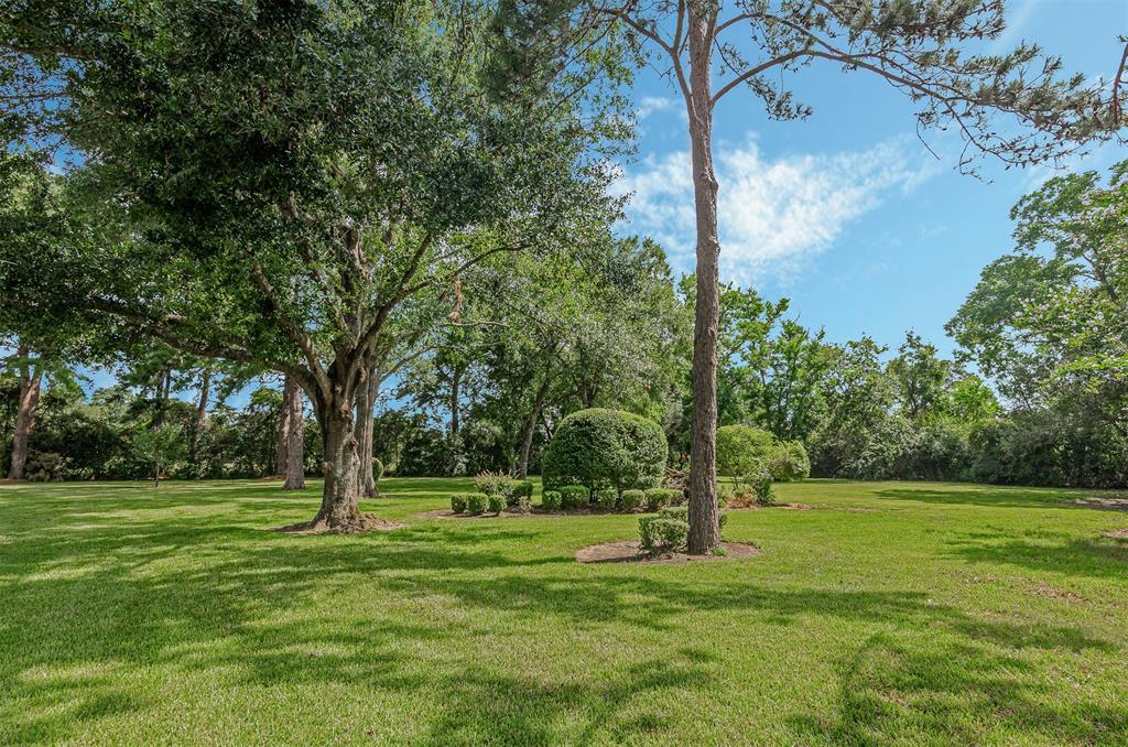 22222 Holly Creek Trail, Tomball, Texas image 50