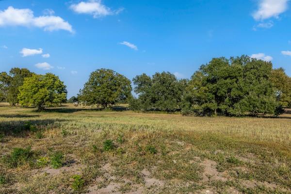 TBD Drake Lane-lot 2, Round Top, Texas image 5