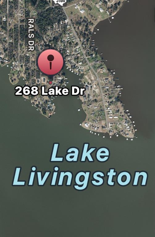 268 Lake Drive, Onalaska, Texas image 42