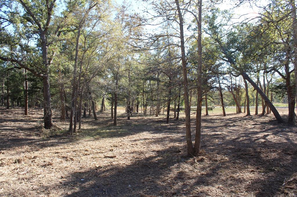 12640 Park Road 57, Somerville, Texas image 8