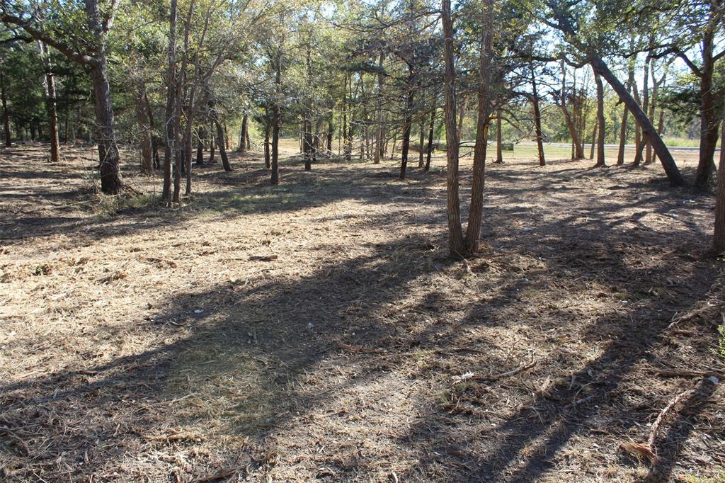 12640 Park Road 57, Somerville, Texas image 9