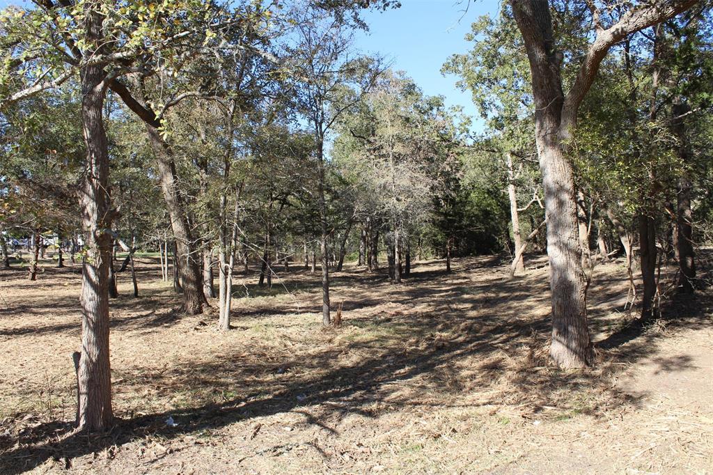 12640 Park Road 57, Somerville, Texas image 6