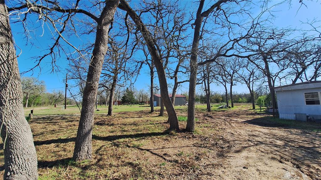 667 County Road 430, Somerville, Texas image 5
