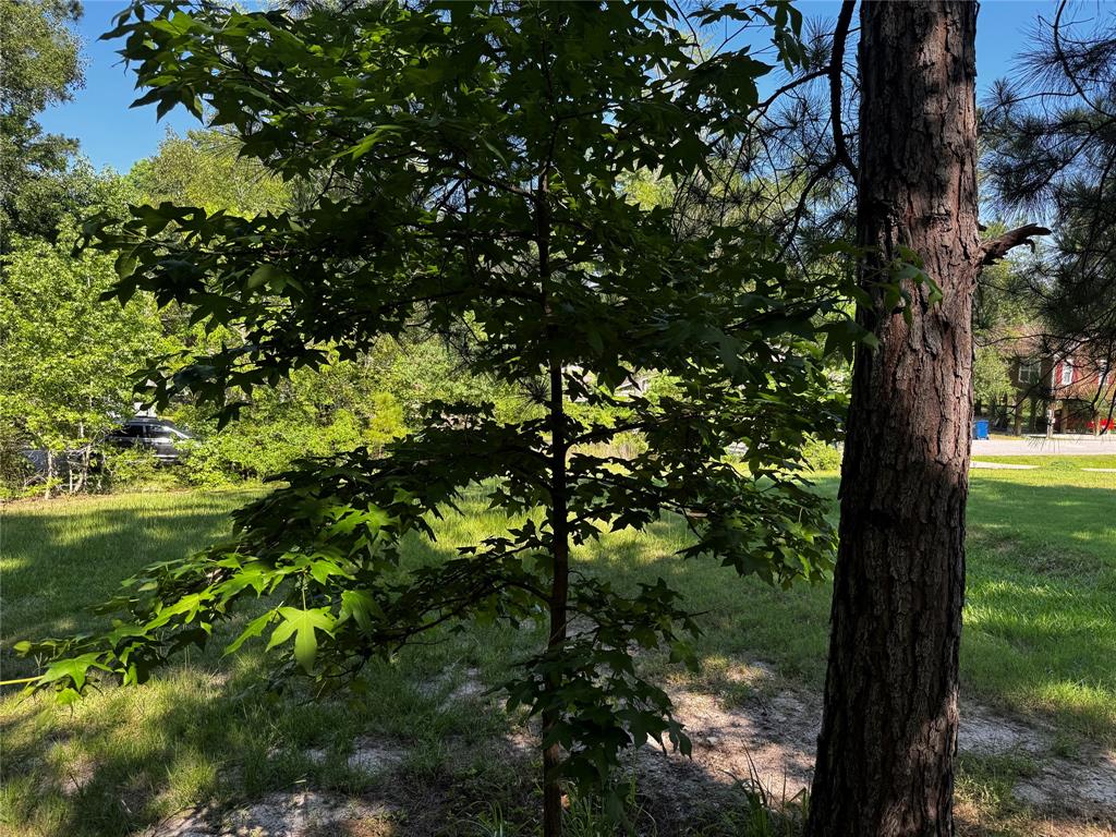 TBD Whisperwood Lots 64,65,70, Onalaska, Texas image 9