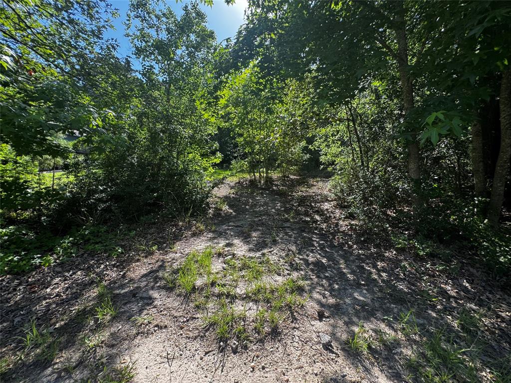 TBD Whisperwood Lots 64,65,70, Onalaska, Texas image 5