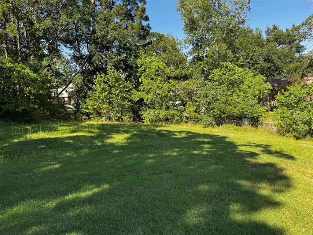 TBD Whisperwood Lots 64,65,70, Onalaska, Texas image 6