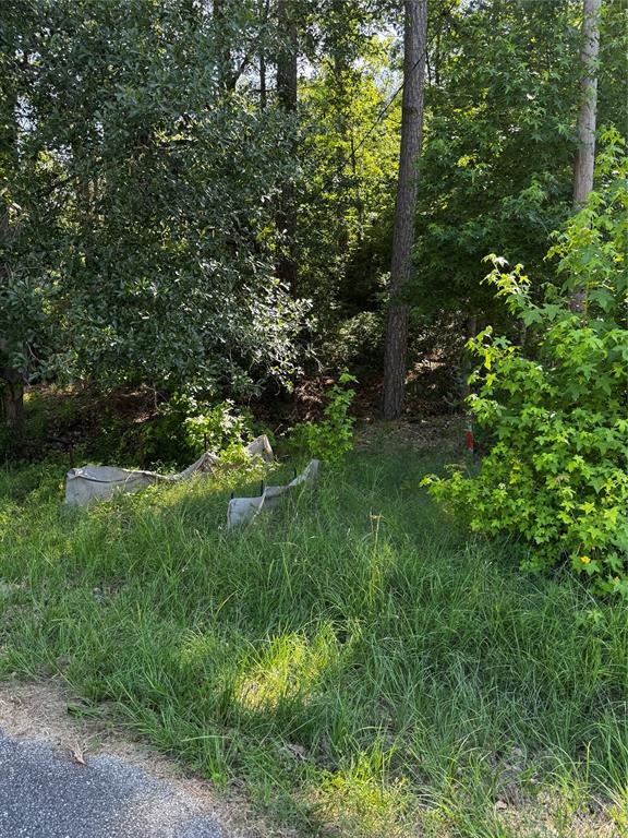 TBD Whisperwood Lots 64,65,70, Onalaska, Texas image 12