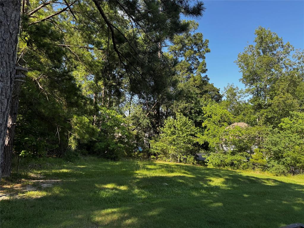 TBD Whisperwood Lots 64,65,70, Onalaska, Texas image 11