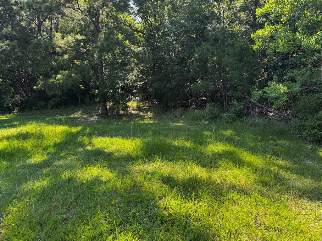 TBD Whisperwood Lots 64,65,70, Onalaska, Texas image 3