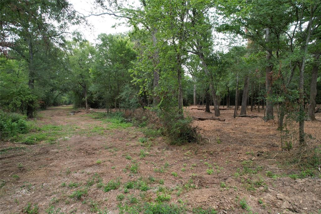 TBD Trailwood Drive, Crockett, Texas image 19