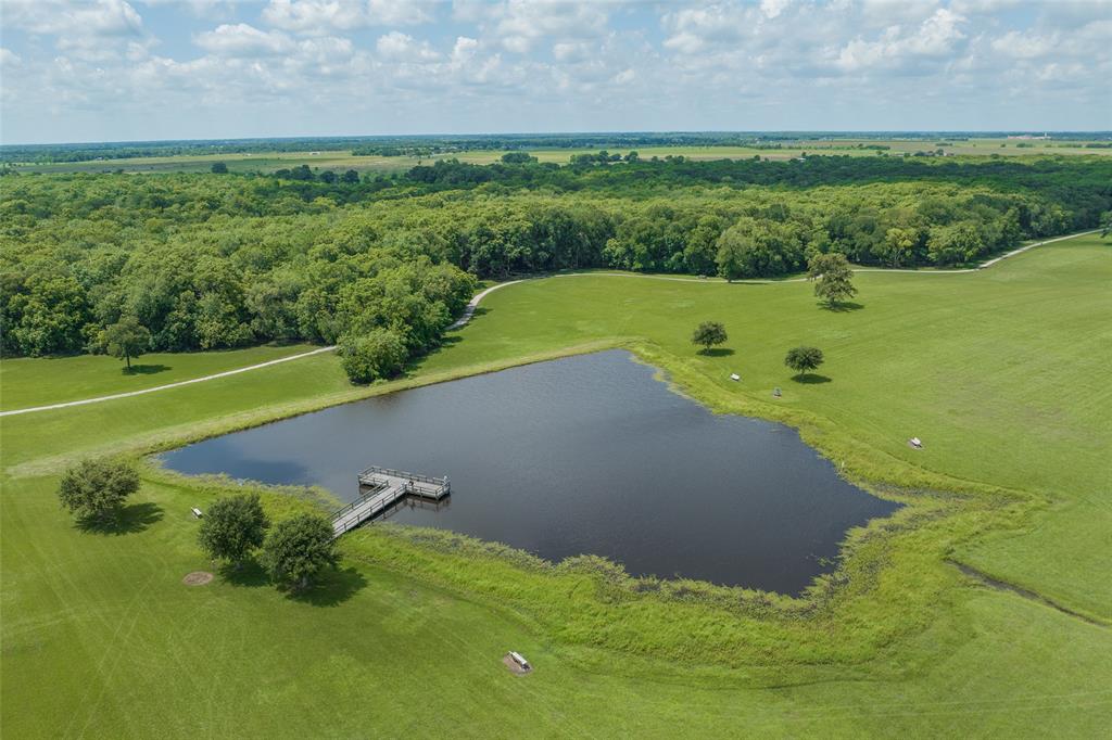 10606 Summers Way, Beasley, Texas image 18