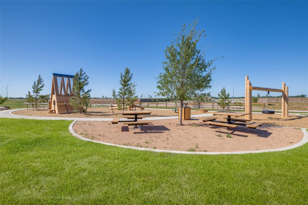 10606 Summers Way, Beasley, Texas image 16