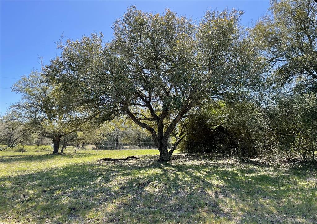 1132 And 1134 Big Buck Road, Weimar, Texas image 46