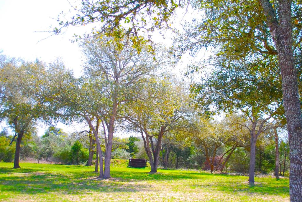 1132 And 1134 Big Buck Road, Weimar, Texas image 45