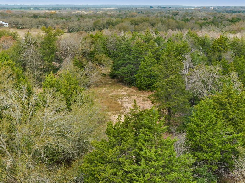 0000 County Road 270, Bremond, Texas image 15