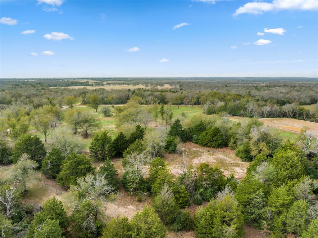 0000 County Road 270, Bremond, Texas image 13