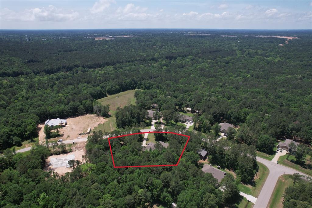 1574 Silver Creek Lane, Montgomery, Texas image 35