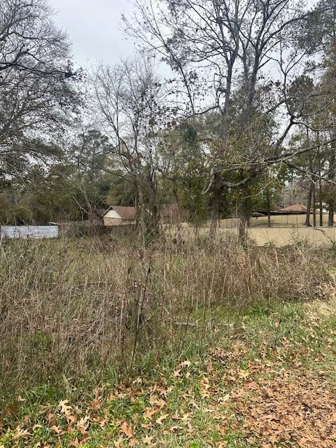 Lot 21 Brinwood Place, Livingston, Texas image 3