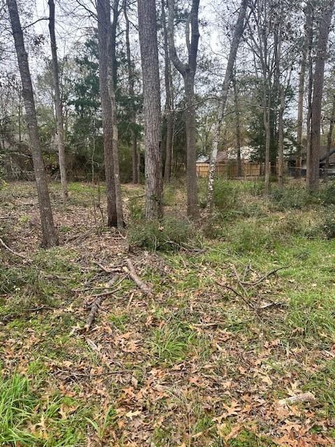 Lot 21 Brinwood Place, Livingston, Texas image 5