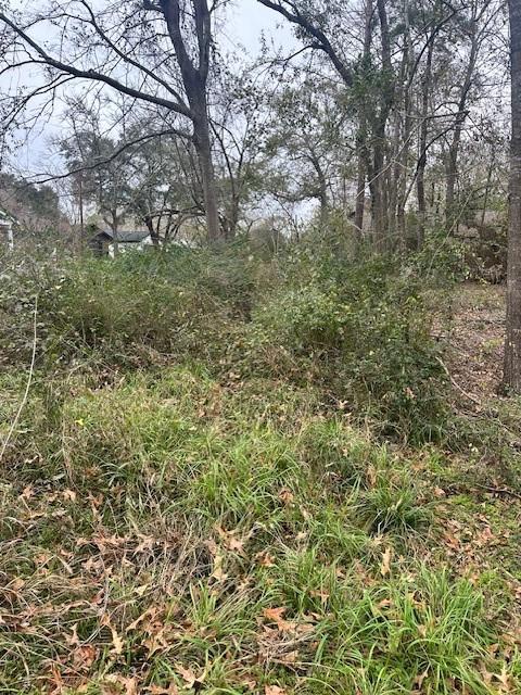 Lot 21 Brinwood Place, Livingston, Texas image 6