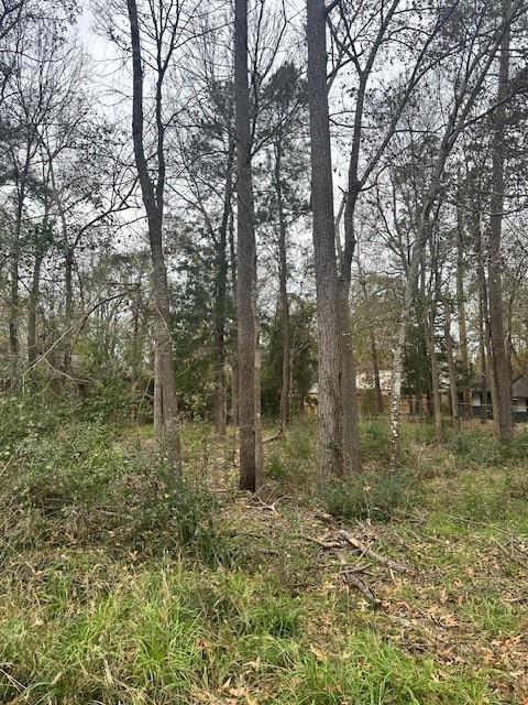 Lot 21 Brinwood Place, Livingston, Texas image 11