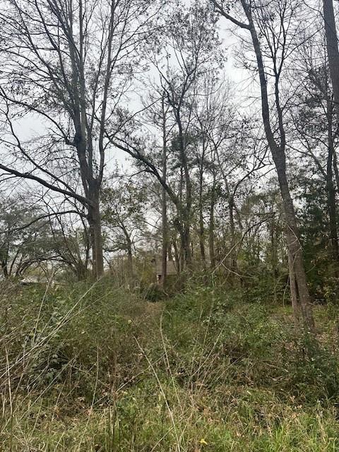 Lot 21 Brinwood Place, Livingston, Texas image 12