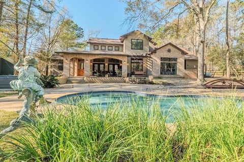 11409 Oak Springs Drive Willis TX 77378