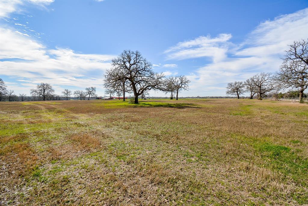 8234 County Road 201 - Cr 201, Somerville, Texas image 6