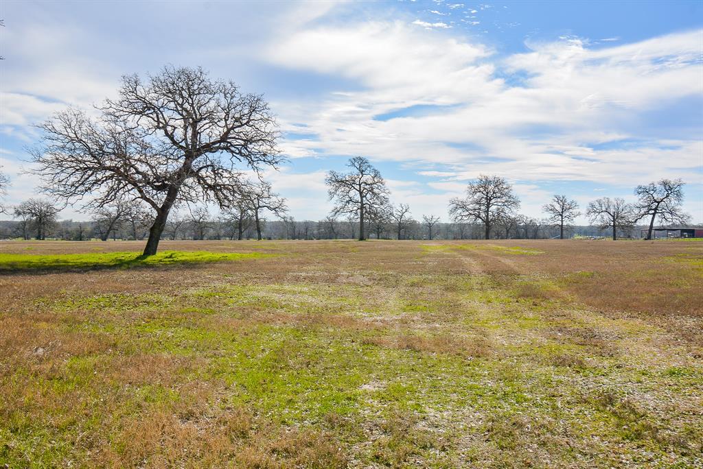 8234 County Road 201 - Cr 201, Somerville, Texas image 9