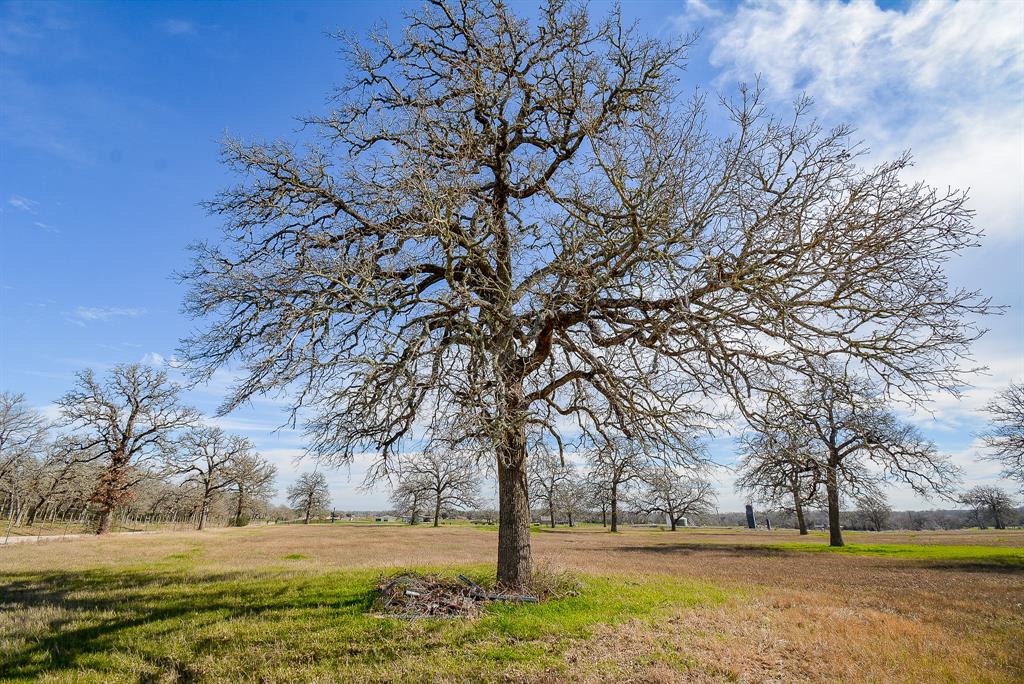 8234 County Road 201 - Cr 201, Somerville, Texas image 10