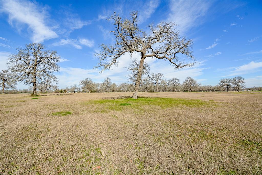 8234 County Road 201 - Cr 201, Somerville, Texas image 15