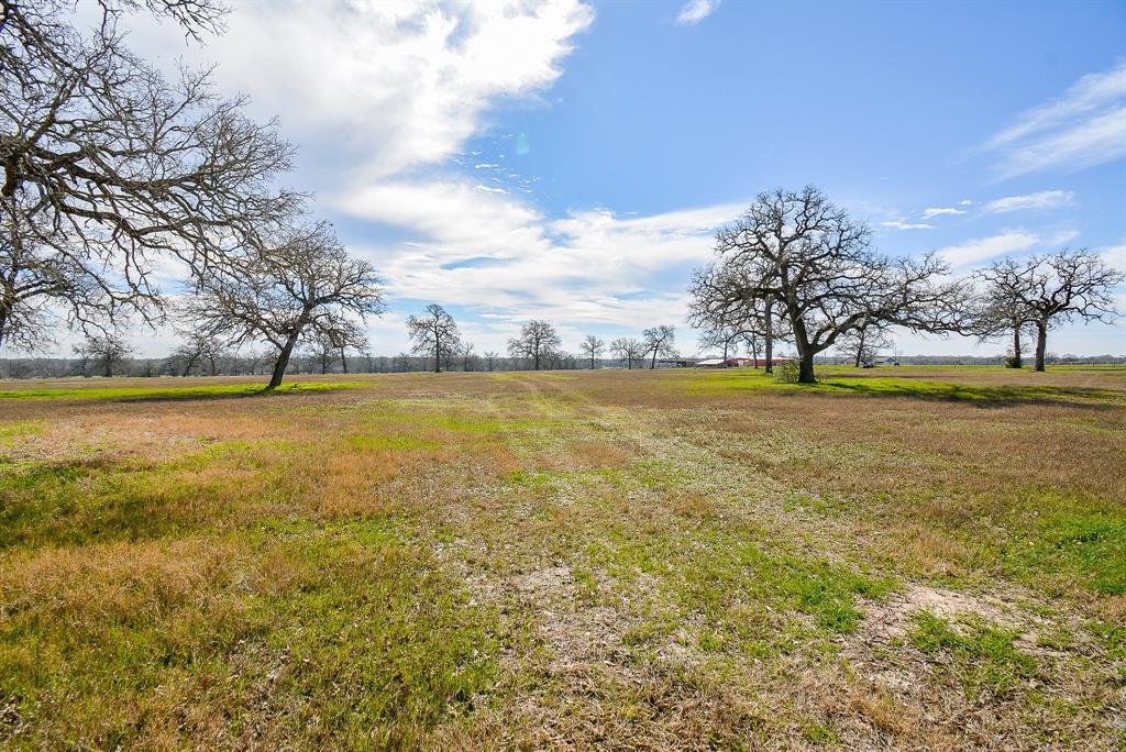 8234 County Road 201 - Cr 201, Somerville, Texas image 5