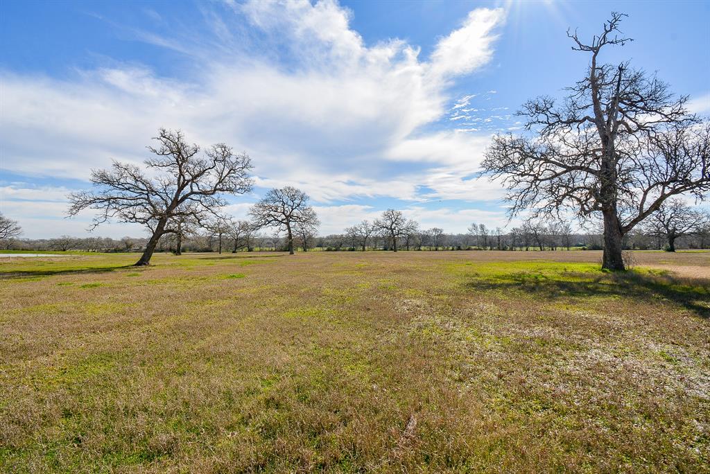 8234 County Road 201 - Cr 201, Somerville, Texas image 16