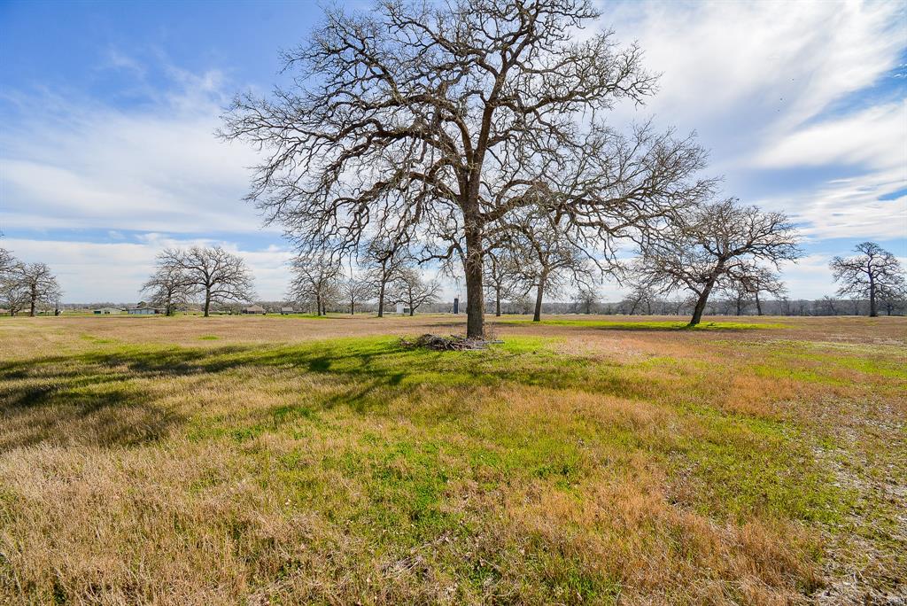 8234 County Road 201 - Cr 201, Somerville, Texas image 4