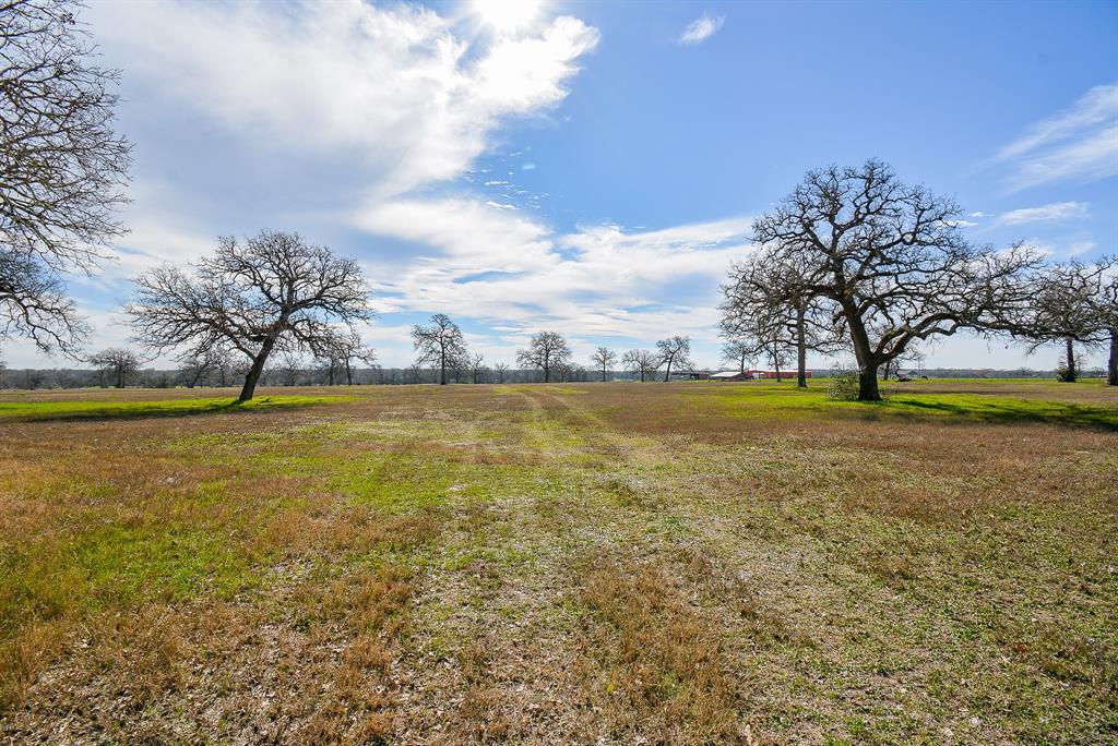 8234 County Road 201 - Cr 201, Somerville, Texas image 8