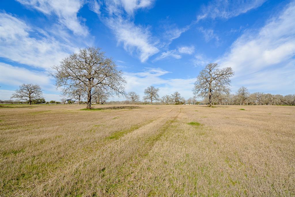 8234 County Road 201 - Cr 201, Somerville, Texas image 11