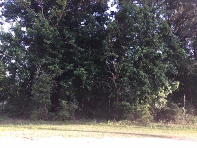 272 Artesian, Onalaska, Texas image 2