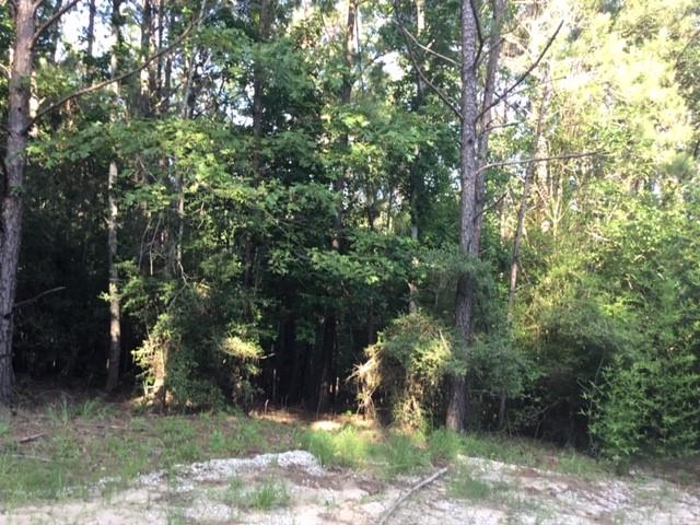 272 Artesian, Onalaska, Texas image 6